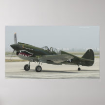 Curtis P40 Posters