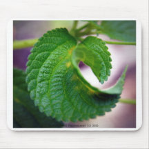 Curved Green Leaf Mousepad