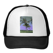 Curvy Palms and Colourful Sky Trucker Hat