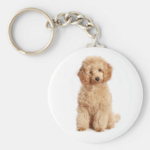 Custom Apricot Poodle Puppy Dog Key Chain