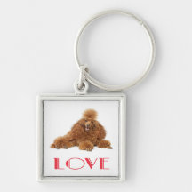 Custom Apricot Poodle Puppy Dog Love Key Chain