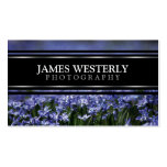 Custom Business Cards For Photographers