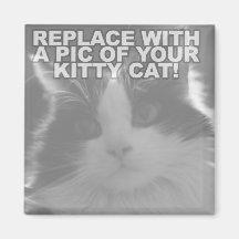 Custom Kitty Cat Fridge Magnet