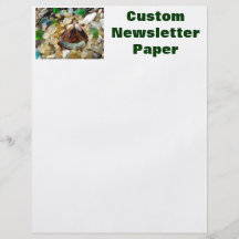 Custom Newsletter Paper Smiley Face Agates Beach Personalised Flyer