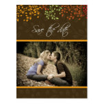 Customisable Fall Save the Date Wedding Invitation Post Card
