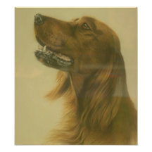 Customisable Irish Setter Art Poster Art Photo