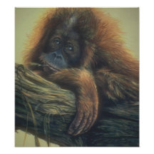 Customisable Orangutan Art Poster Art Photo