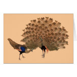Customizable Vintage Asian Peacocks Greeting Cards