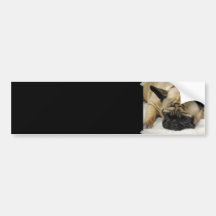 Customize Product Bumper Stickers