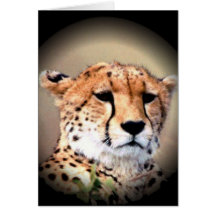 Customize Product Greeting Card