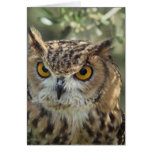 Customize Product Greeting Cards