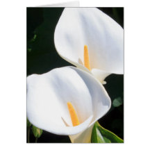 Customize Product Greeting Cards