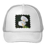 Customize Product Hat
