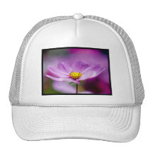 Customize Product Mesh Hat