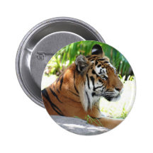 Customize Product Pin
