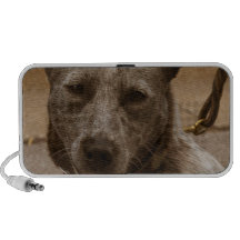 Customize Product Speakers