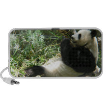 Customize Product Travelling Speaker
