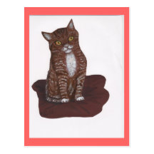 Cute and scary Kitten Postcard