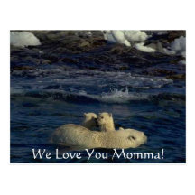 Cute Baby Bears & Mother Post Card