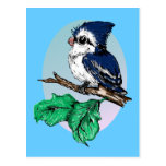 Cute Baby Bluejay Postcard