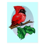 Cute Baby Cardinal Postcard