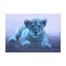 Cute baby lion cub canvas prints