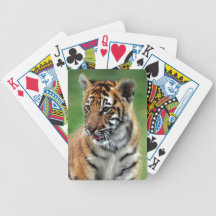 Cute baby Tiger cub Card Deck