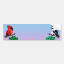 Cute Birds Bumper Sticker