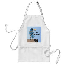 Cute Blue Jay Bird & Peanut Apron