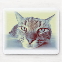 Cute Cat Cats Gifts Feline Chill Out Relax Pets Mousepads