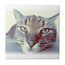 Cute Cat Cats Gifts Feline Chill Out Relax Pets Tile