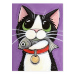 Cute Cat Eating A Fish Postcard