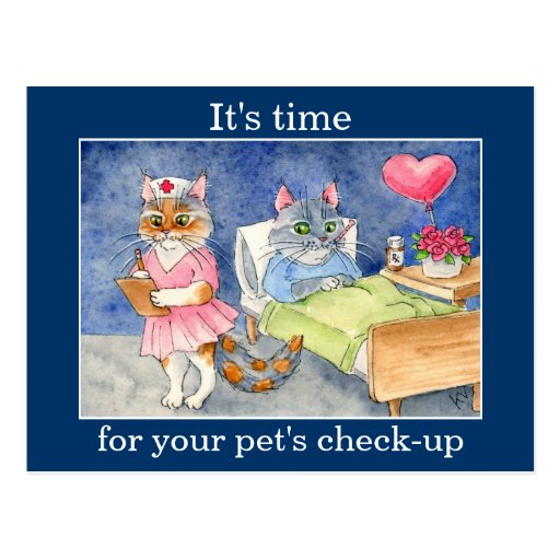 Cute cat nurse, Veterinarian appointment reminder Postcard