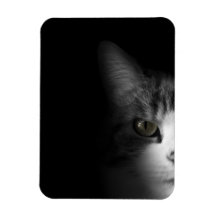 Cute Cat Rectangular Magnets
