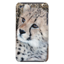 Cute Cheetah Cub Photo Barely There iPod Cover