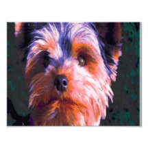 Cute Coloured Terrier Photo Print