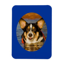 Cute Corgi with Blue Background Rectangular Magnet