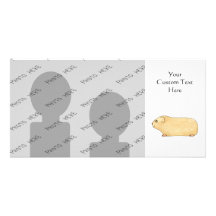 Cute Cream Guinea Pig. Custom Photo Card