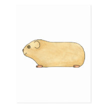 Cute Cream Guinea Pig. Postcards
