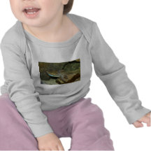 Cute Cuttlefish T-shirts