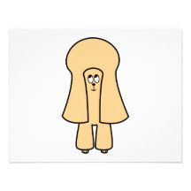 Cute Dog. Apricot Toy Poodle / Miniature Poodle. Invite