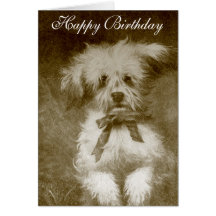 Cute Dog "Birthday" Card