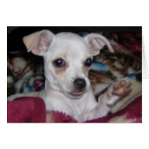 Cute Dog-Card.