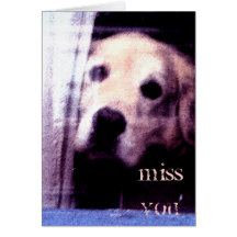 Cute dog miss you card design