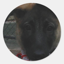 Cute dog sticker