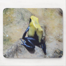 Cute frog mousepad