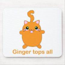 cute ginger cat mousepads
