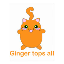 cute ginger cat post cards