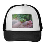 Cute Green Candid Frog On The Hand Mesh Hat