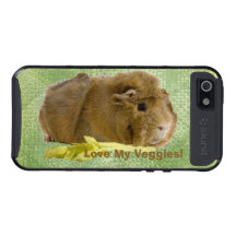 Cute Guinea Pig Close Up Photograph